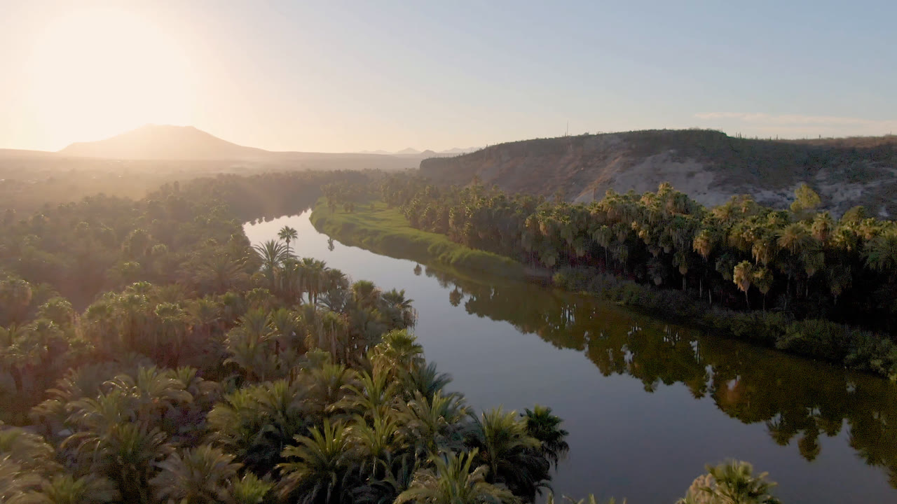 Palm-lined river with hills and bright sun haze in the distance.