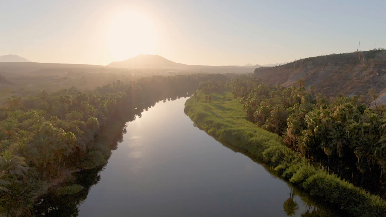 Aerial view over a winding river in San Ignacio, Baja California Sur, with palms and green grasses along the banks, distant mountains under low sun, and no visible people.