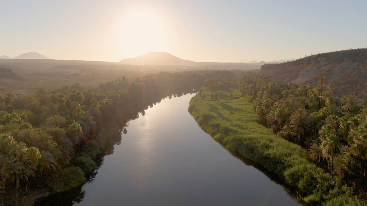 Palm-lined river and green bank below a hazy mountain horizon