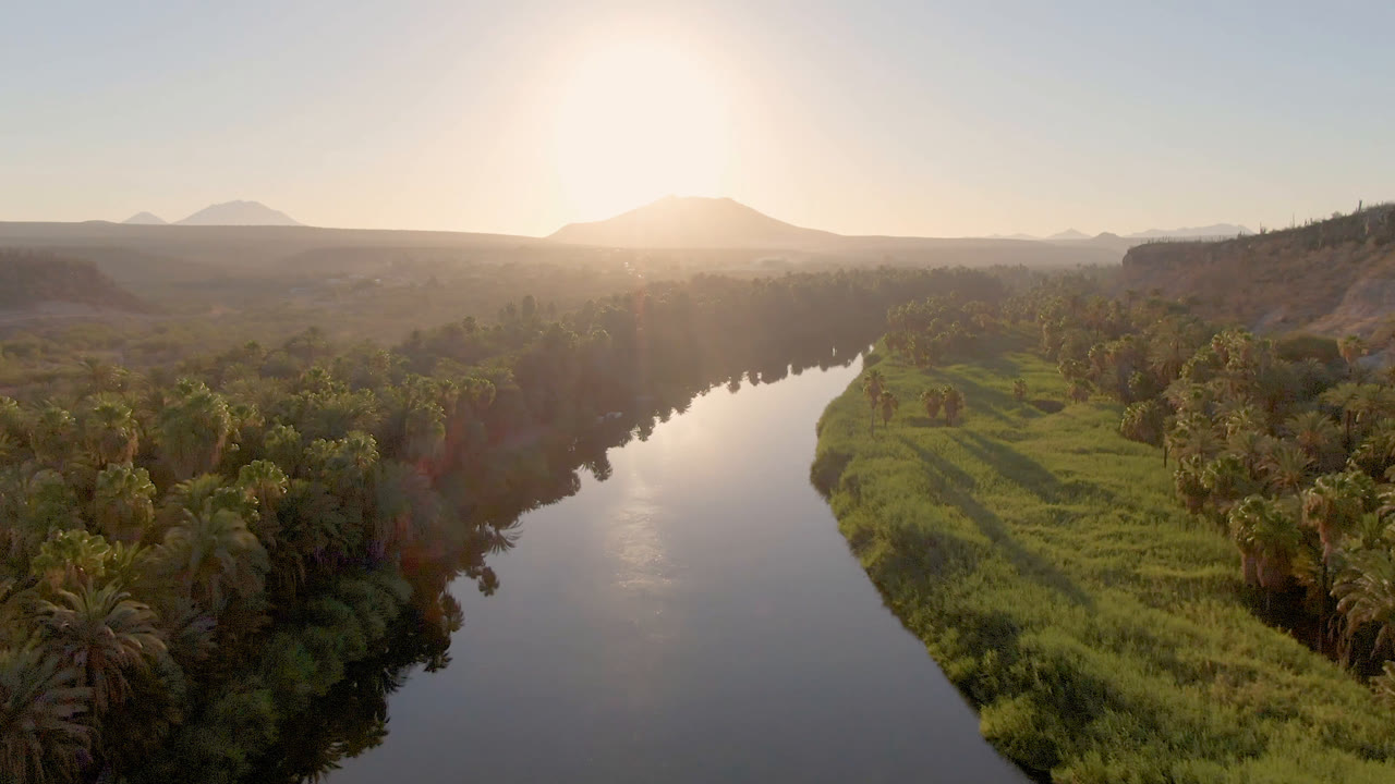 At 0:00, an aerial view in San Ignacio, Baja California Sur shows a reflective river beside dense palms and grassy banks, with a distant mountain under bright low sun and no visible people.
