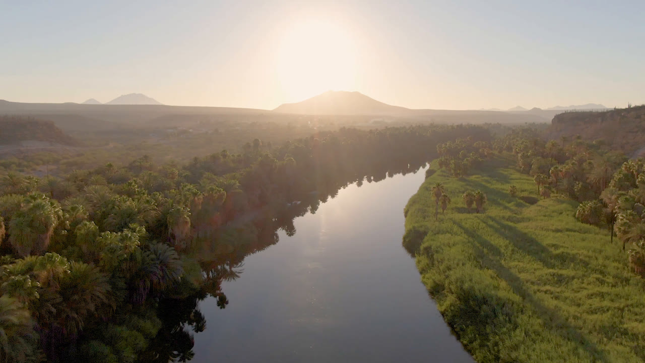 Palm-lined river and grassy bank seen from above with mountains in haze.