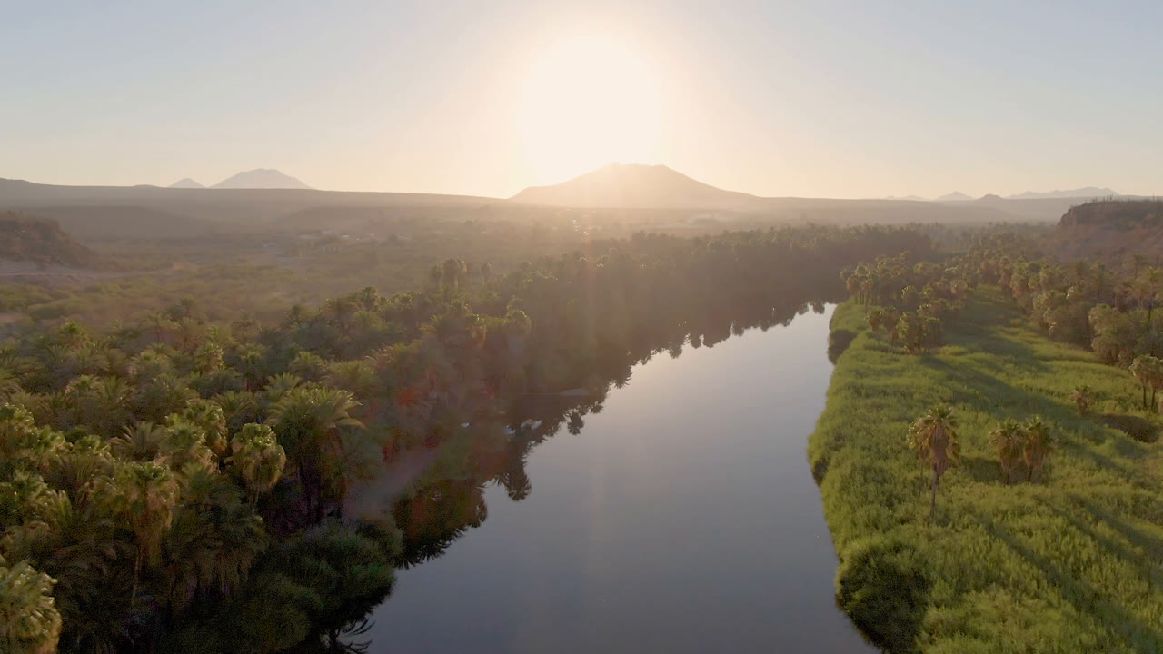 Aerial frame from San Ignacio, Baja California Sur, Mexico showing a reflective river bordered by palms and green banks under low warm sun, with no visible people.