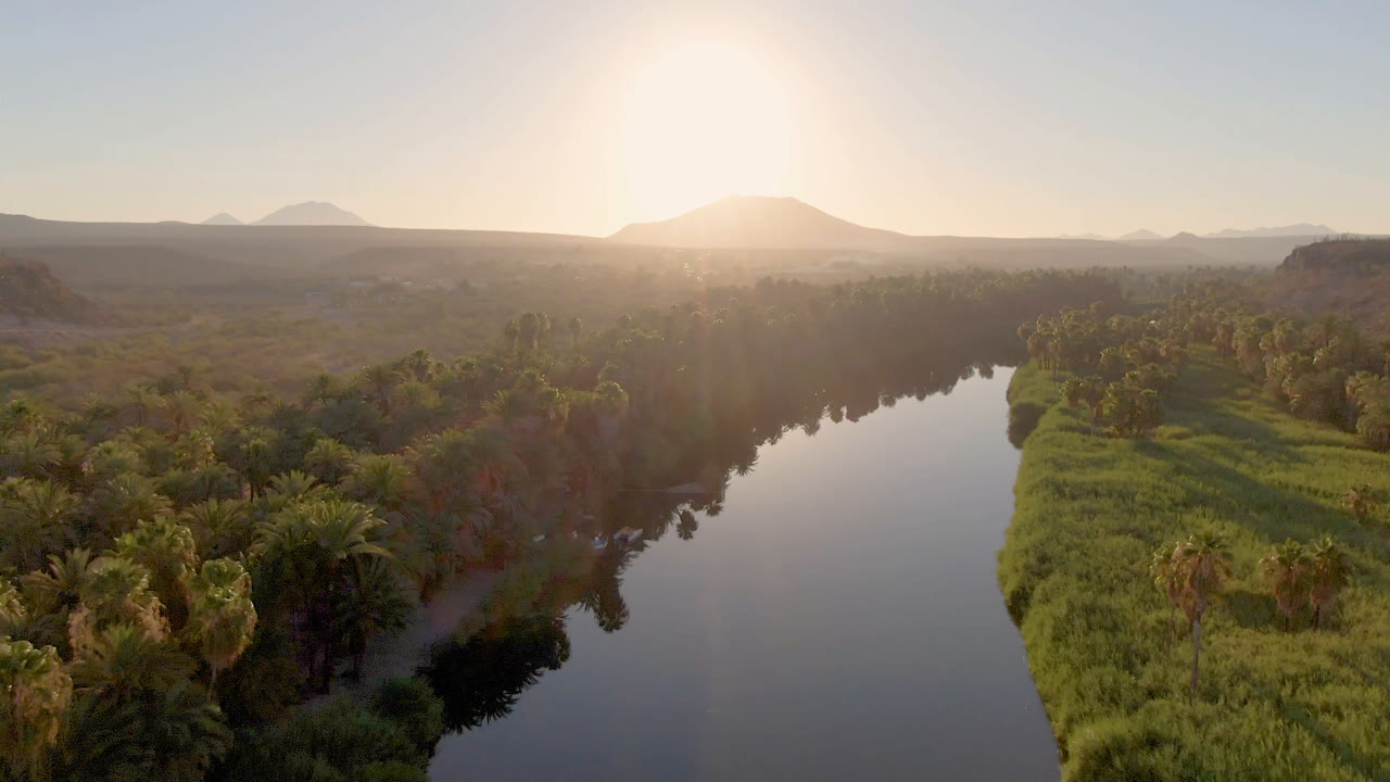 Aerial frame from San Ignacio, Baja California Sur, Mexico with the river running through the center, palms on both sides, grassy banks, sun flare, and no visible people.