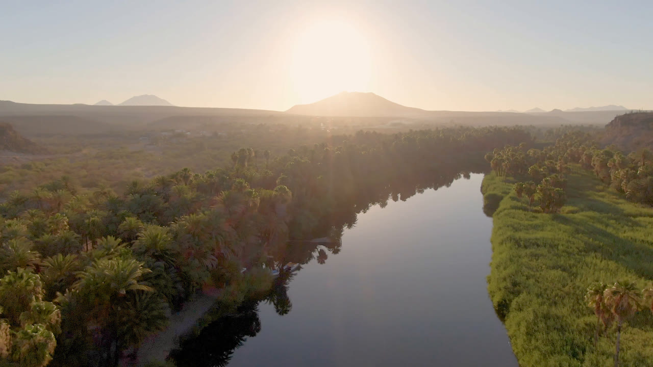 River bend with dense palms, green bank, and bright sun near the horizon.