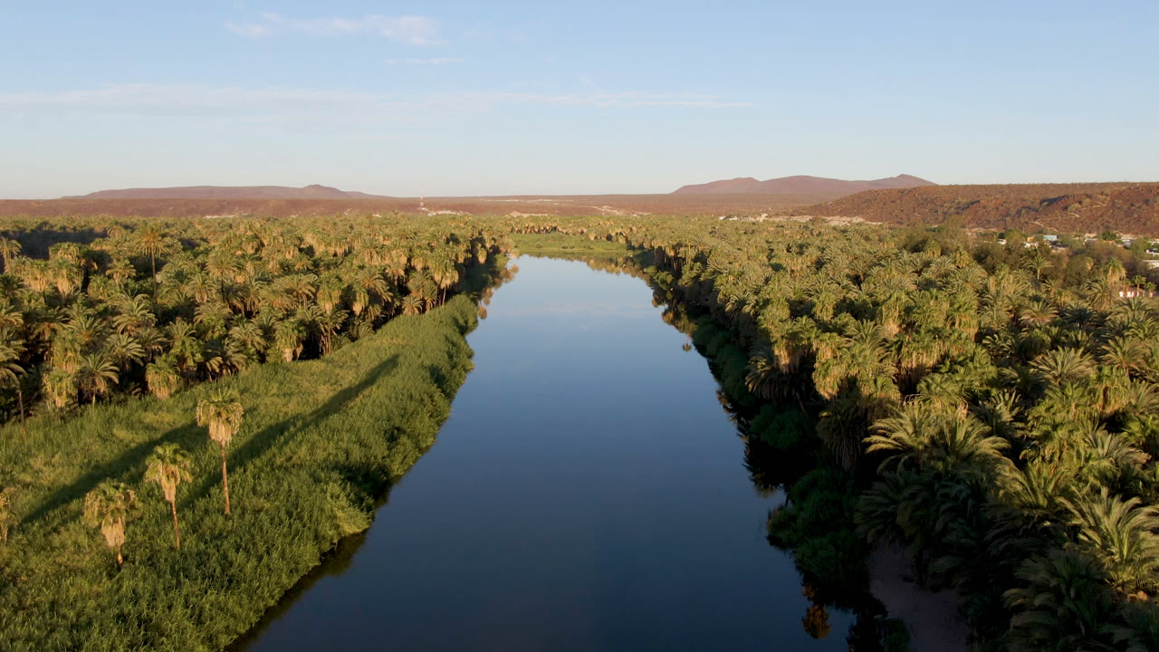 Opening frame over San Ignacio, Baja California Sur, with a blue river centered between dense palms, green reeds, distant brown hills, and no visible people.