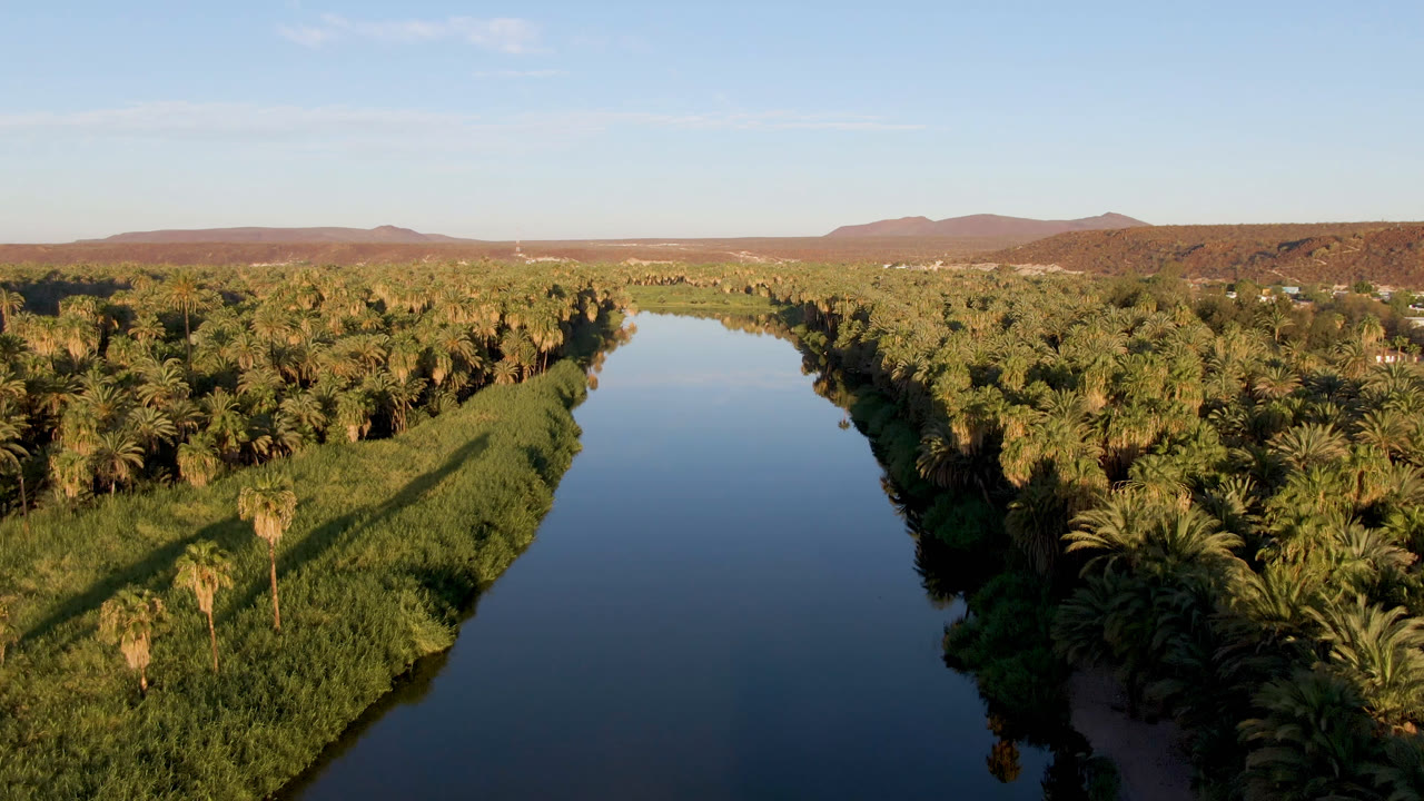 Aerial frame in San Ignacio showing the river narrowing toward the horizon, with warm light on palms and reeds and no visible people.