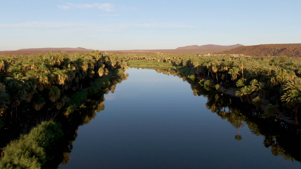 Aerial frame from San Ignacio, Baja California Sur, showing dark reflective water in the foreground, dense palms on both banks, low desert hills on the horizon, and no visible people.