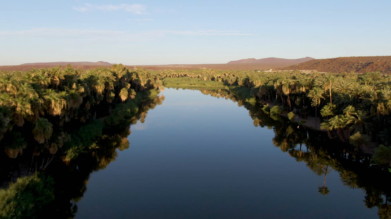 Aerial view in San Ignacio, Baja California Sur, with a smooth blue water surface, shadowed palm banks, warm light on the treetops, low mountains in back, and no visible people.