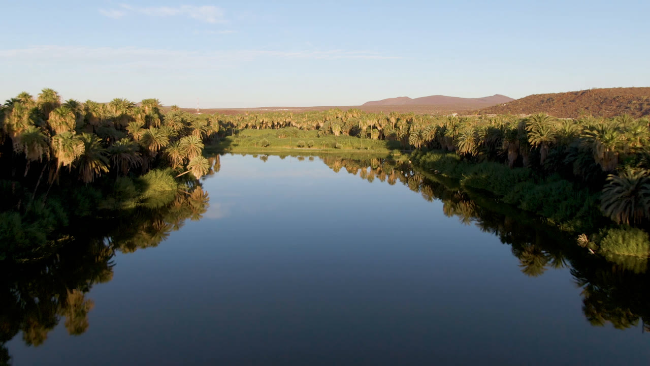 Opening frame of the San Ignacio, Baja California Sur river oasis, with dark reflective water in the foreground, palms along both banks, low hills beyond, and no visible people.