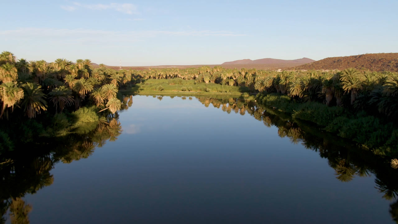 Early frame from San Ignacio showing the river surface reflecting palm clusters, a green bank across the middle of the frame, distant brown hills, and no visible people.