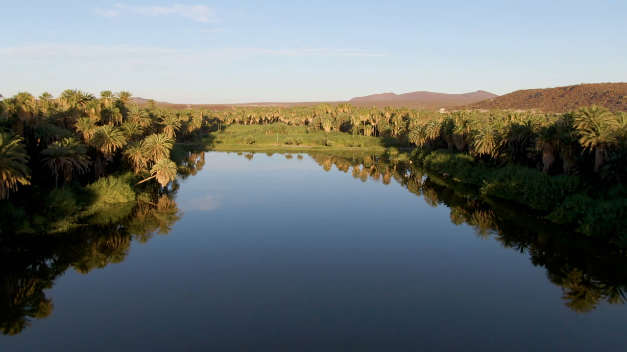 Palm grove beside a smooth river with desert hills in the distance.