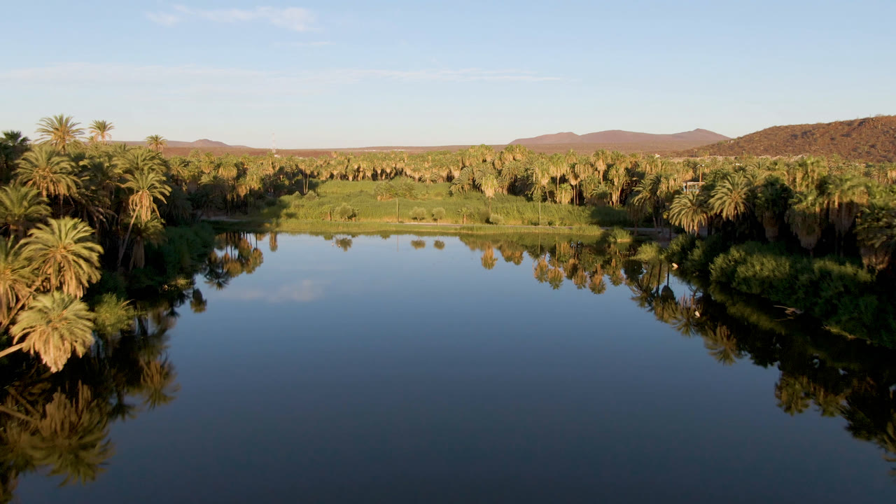 Wide oasis water with palm trees and low desert hills.