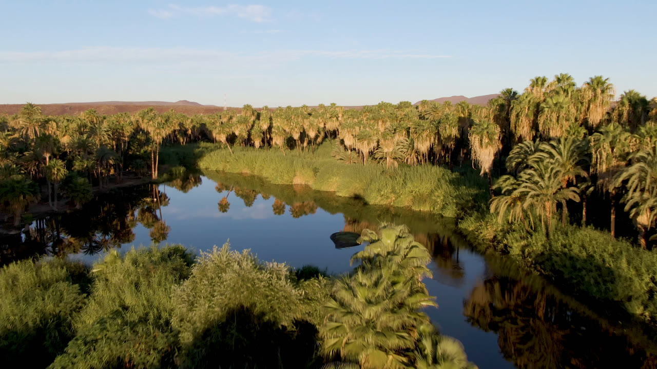 Aerial view over a reflective river or lake edge in San Ignacio, Baja California Sur, with palms, reeds, distant desert hills, blue sky, and no visible people.