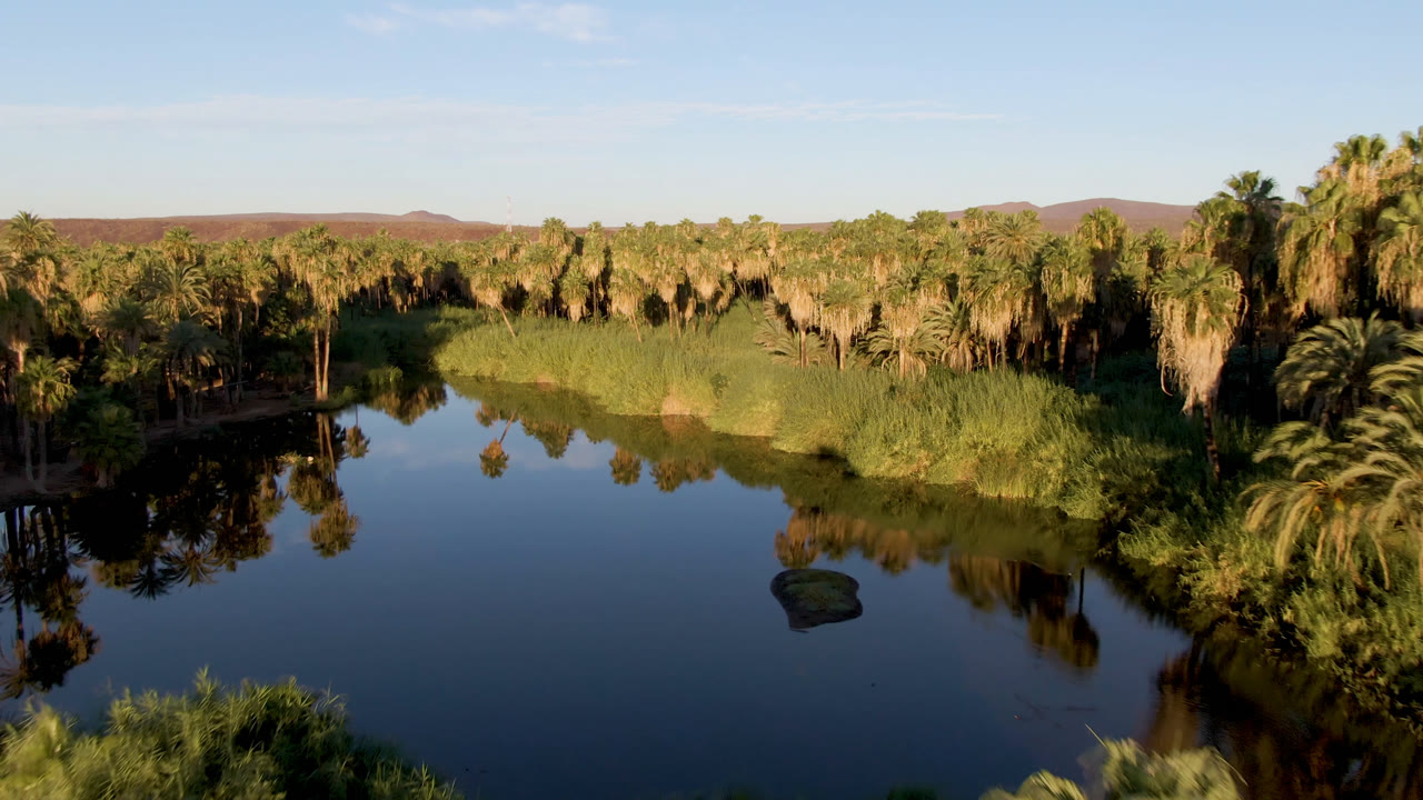 Wide oasis waterway with palms, reeds, and low hills