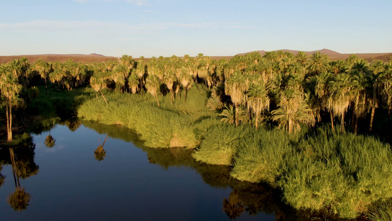 Reflective water, green oasis vegetation, palms, and low hills under clear sky.