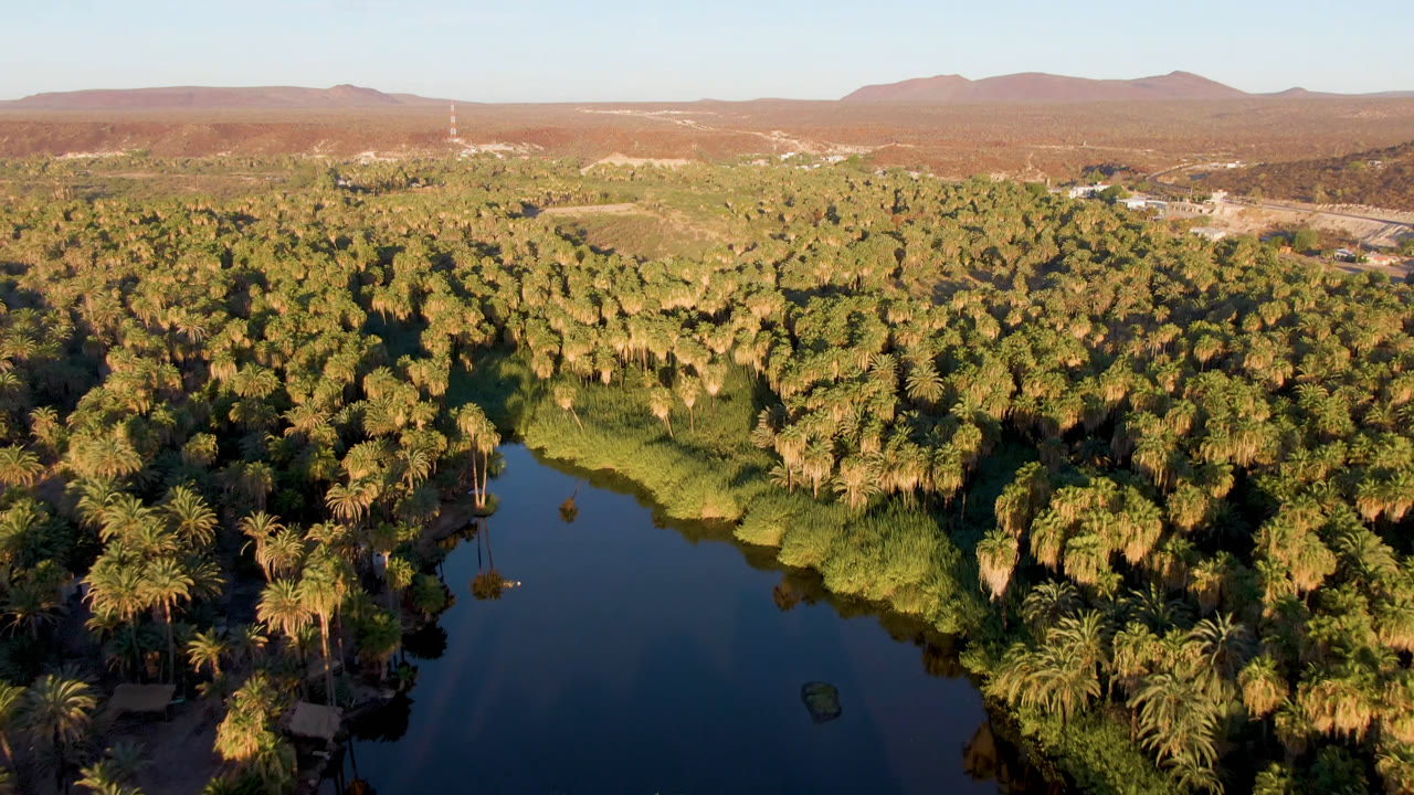 Aerial view over San Ignacio, Baja California Sur, showing dark oasis water below dense palms, reddish desert flats, distant mountains, and no visible people.