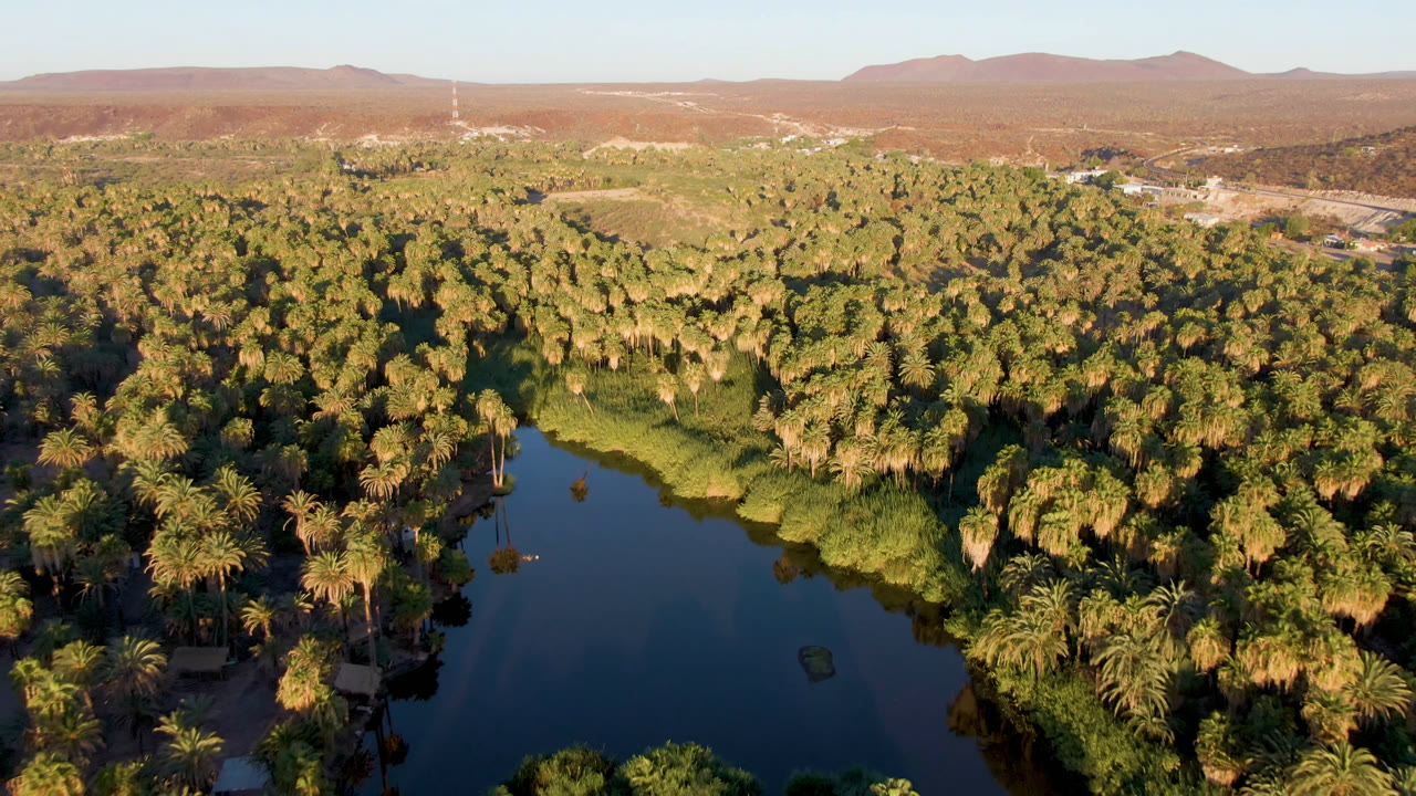 Wide aerial frame in San Ignacio, Baja California Sur, with a narrow dark water channel bordered by palms, desert slopes in back, and no visible people.