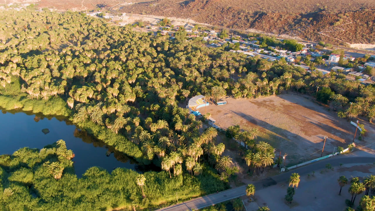 Aerial frame over San Ignacio, Baja California Sur, Mexico, showing blue-green lake water, dense palms, a curving road, a dirt clearing, distant buildings, dry hills, and no visible people.