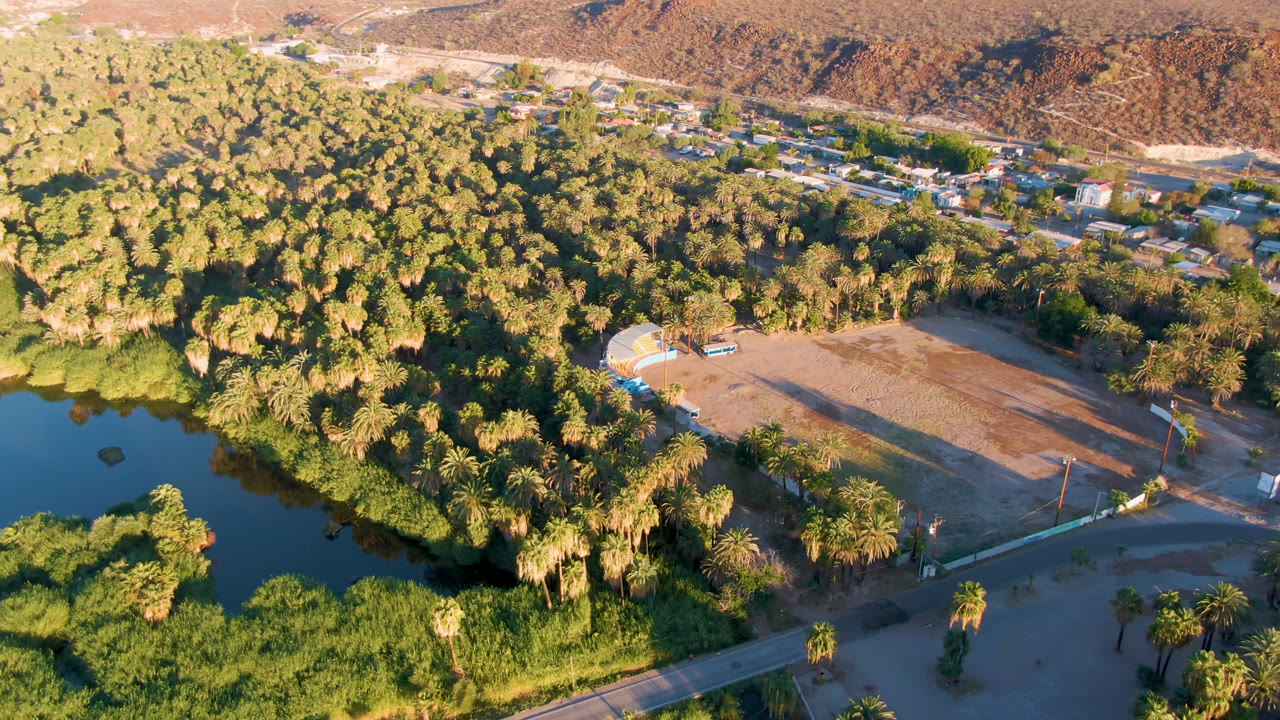 Aerial landscape with oasis water, thick trees, road, dirt clearing, and desert hills