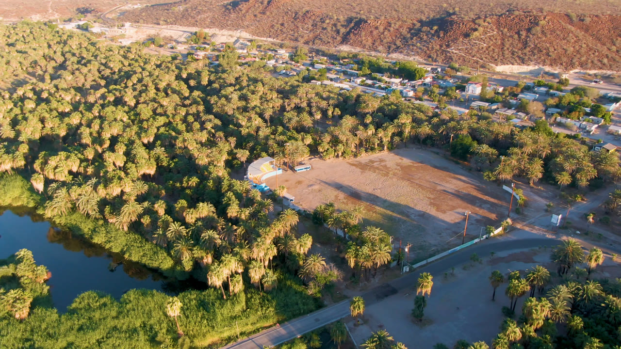 Aerial view of palms, dark water, open field, road, town buildings, and dry hills.