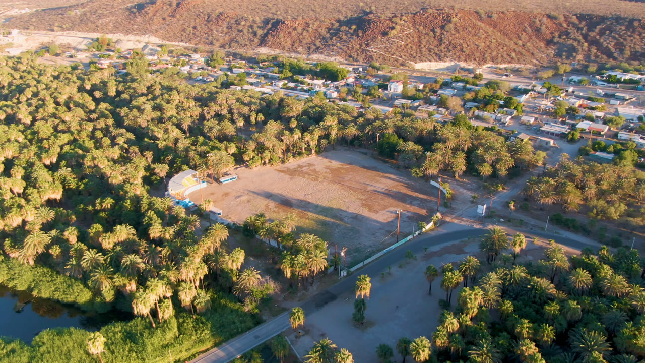 High aerial frame over San Ignacio, Baja California Sur, showing dense palms in the foreground, a dry open field, scattered buildings, and brown mountains beyond, with no visible people.