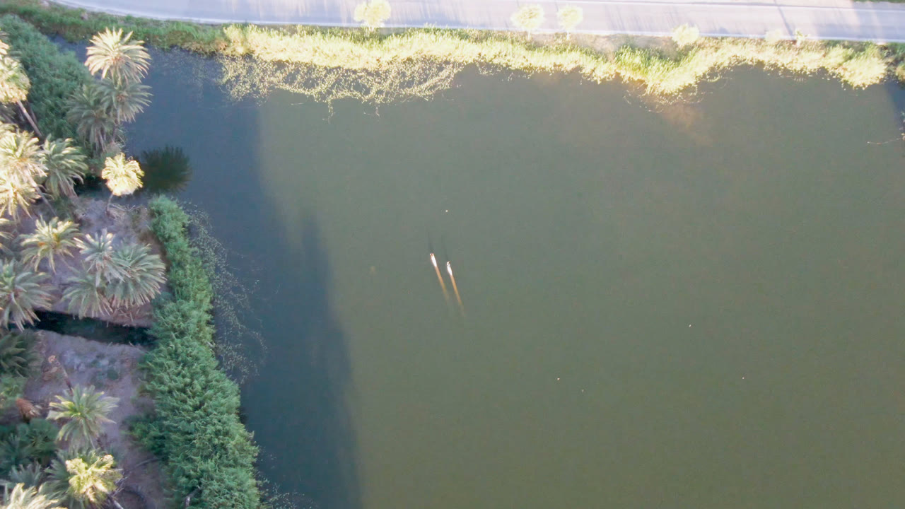 Second overhead frame in San Ignacio shows the road running across the top, green water below it, palm crowns and dense vegetation on the left side, and no visible people.