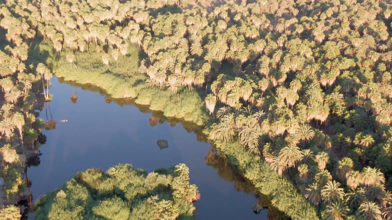 Aerial view in San Ignacio, Baja California Sur, with blue river water running beside clustered palms and mixed desert-oasis vegetation, with no visible people.