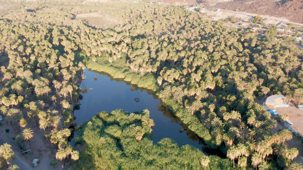 Aerial frame over San Ignacio with the water channel running through dense palm canopy, a small road and clearing on the right, dry terrain at the top, and no visible people.