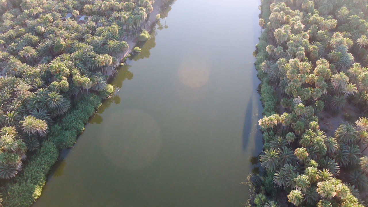 Aerial view in San Ignacio, Baja California Sur, Mexico, showing a palm-covered strip of land bordered by calm green river water, with no visible people.