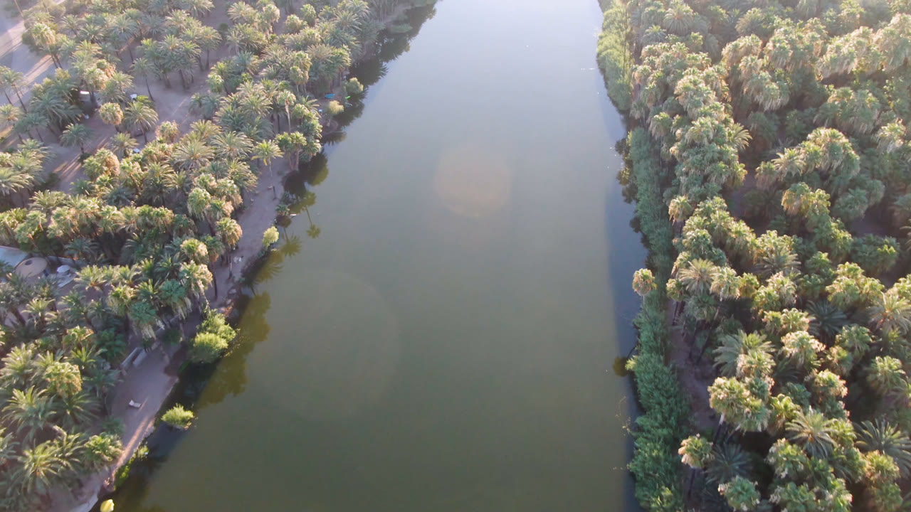 Aerial view in San Ignacio, Baja California Sur, with a palm-covered strip of land running along still water and a narrow road visible through the trees, with no visible people.