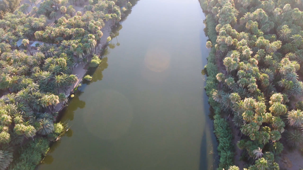 Aerial view in San Ignacio, Baja California Sur, with the palm grove forming a diagonal point against calm water and no visible people.