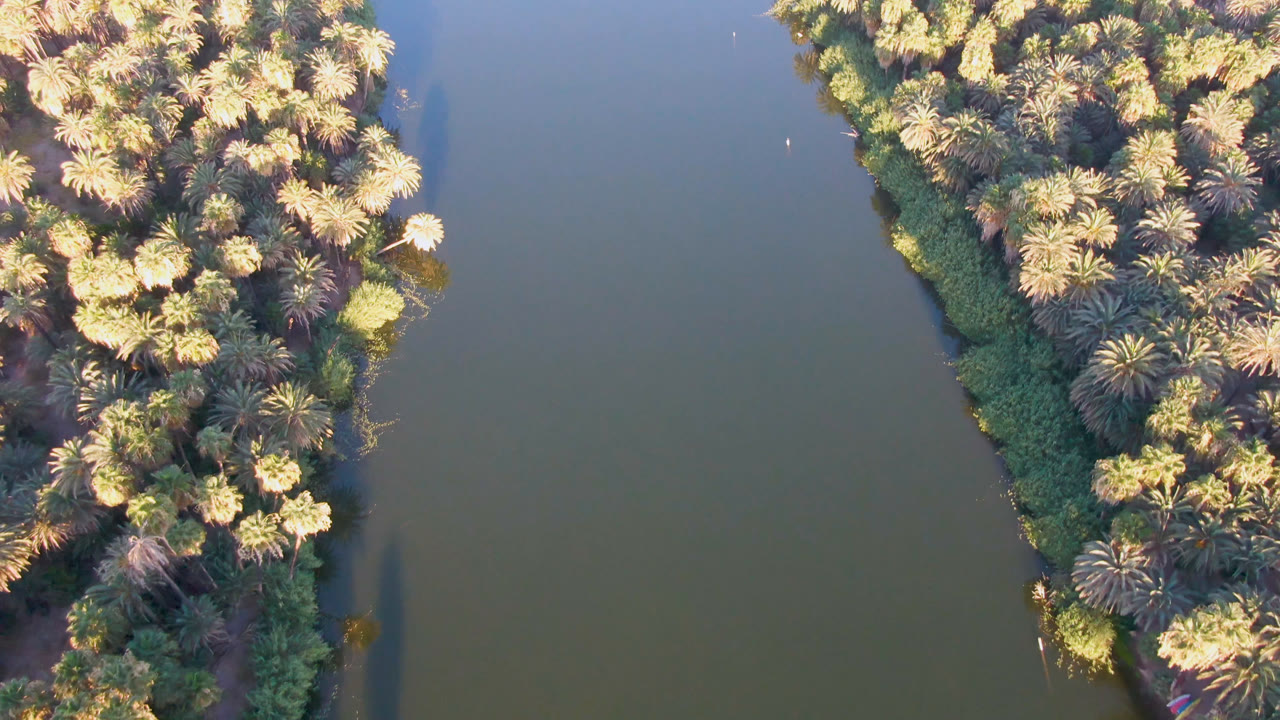 Aerial view in San Ignacio, Baja California Sur, with a pointed section of palm grove bordered by open water and no visible people.