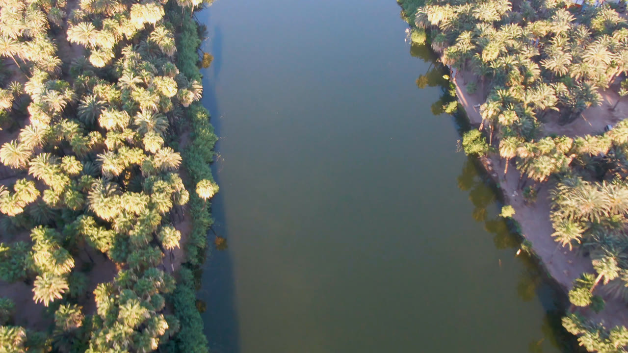 Aerial frame over San Ignacio, Baja California Sur, with dense palms along green river water and no visible people.