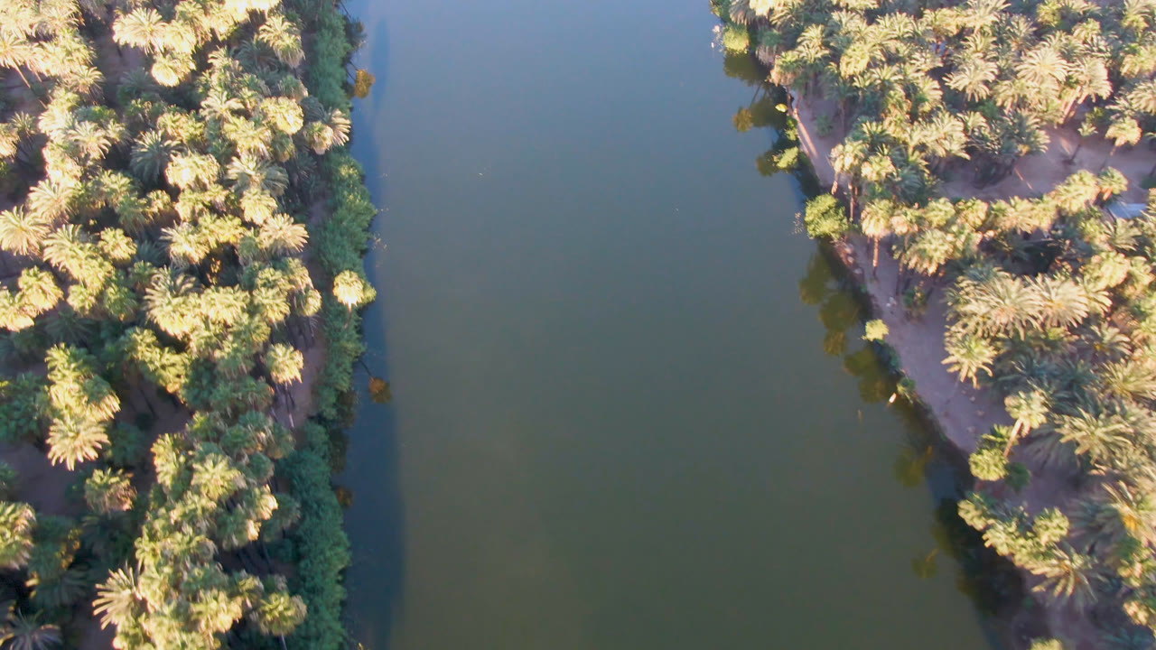 Drone view in San Ignacio showing a palm-covered strip of riverbank between green water areas, with no visible people.