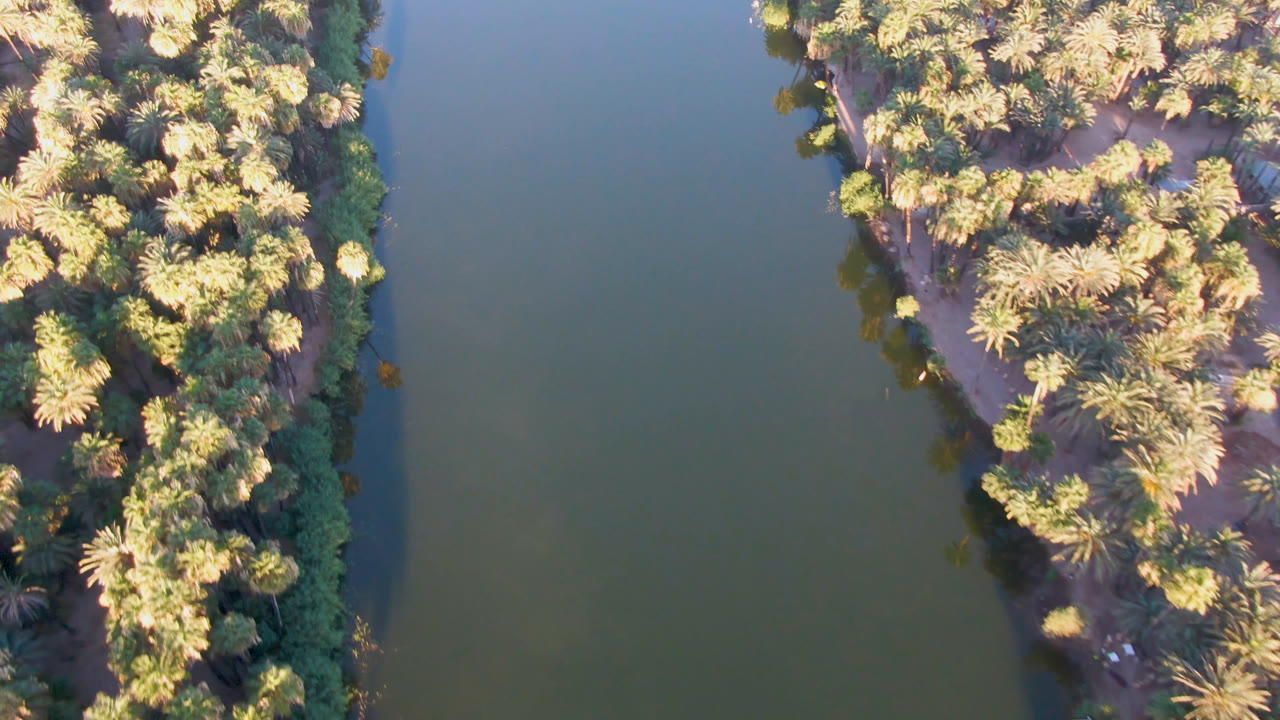 Dense palm grove bordered by a wide band of river water.