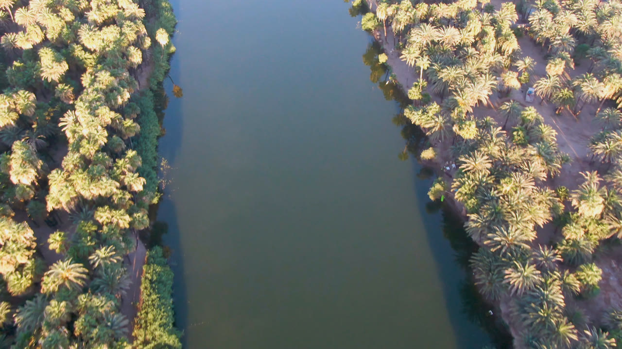 High overhead view in San Ignacio, Baja California Sur, with green river water beside dense palms and dry ground, no visible people.