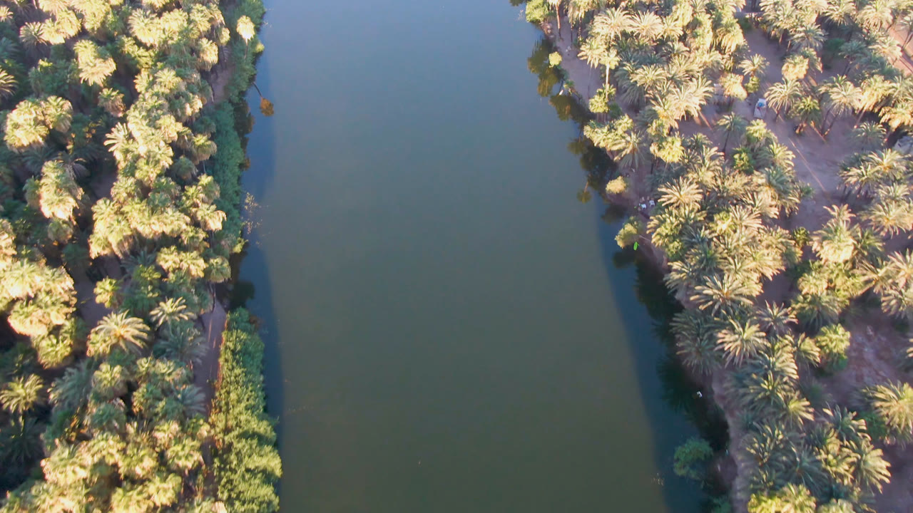 Aerial frame over San Ignacio showing a broad strip of palms and shrubs between green water channels, with no visible people.