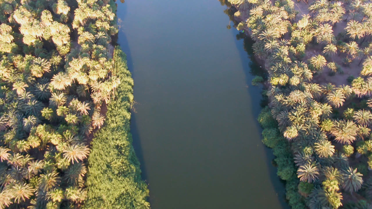 Aerial frame over San Ignacio, Baja California Sur, showing dense palms and green shoreline vegetation beside a dark water channel, with no visible people.