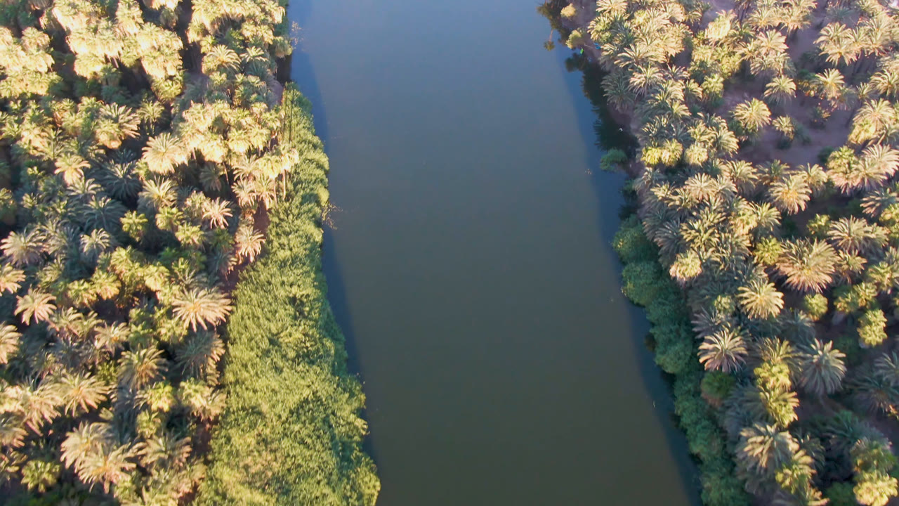 Aerial view in San Ignacio, Baja California Sur, with a palm-covered land strip bordered by dark green water and thick low vegetation, with no visible people.
