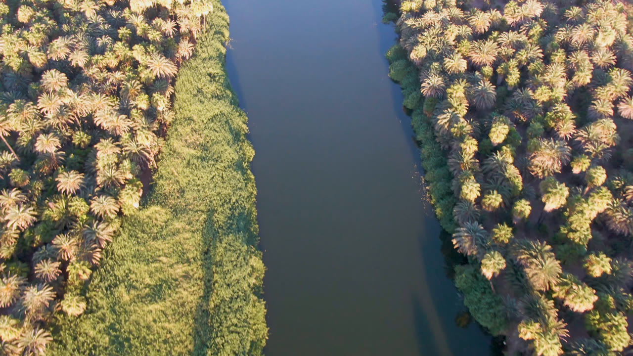 Overhead frame from San Ignacio, Baja California Sur, showing dark river water on the right, dense palm canopy on the left, bright grasses along the bank, and no visible people.
