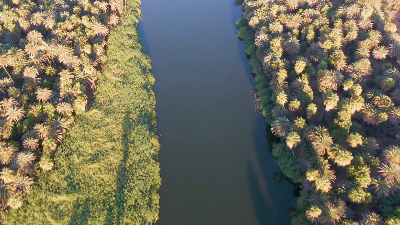 Aerial frame in San Ignacio, Baja California Sur, with a palm-filled strip of land beside a smooth dark water channel and long shadows falling across the grasses, with no visible people.