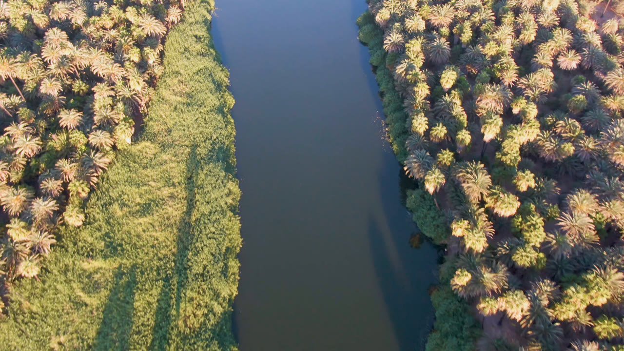 Top-down view over San Ignacio, Baja California Sur, where blue-green river water meets a dense palm grove and a bright grassy edge marked by tall tree shadows, with no visible people.