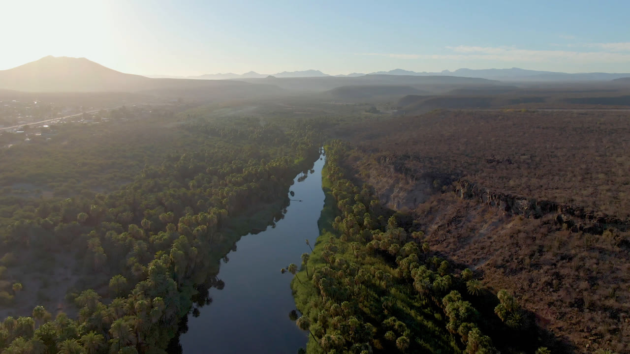 Aerial frame from San Ignacio, Baja California Sur showing a dark river between green trees, dry terrain to the right, hazy mountains on the horizon, and no visible people.