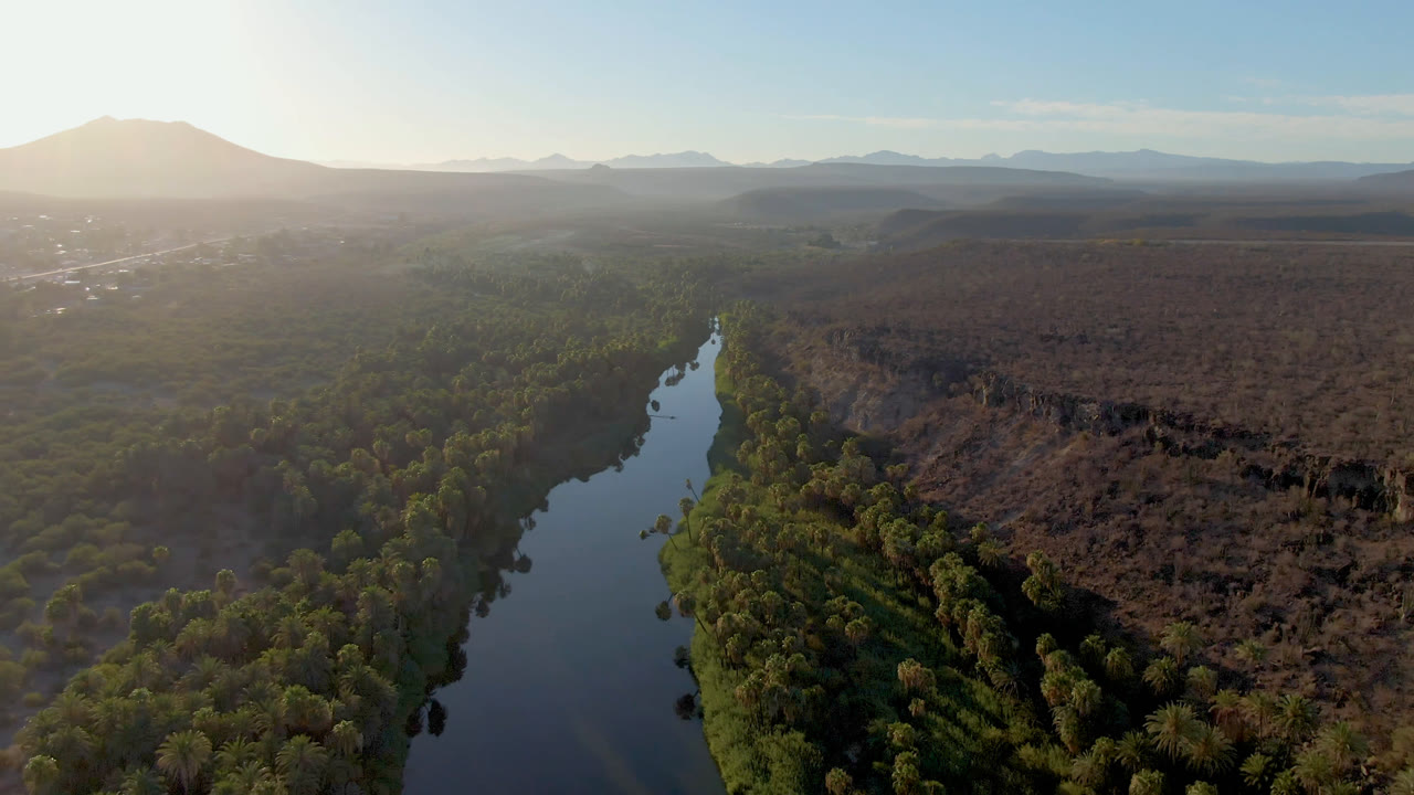 Aerial view in San Ignacio, Baja California Sur, with the river centered lower in frame, thick green canopy on both banks, brown scrubland to the right, distant hills, and no visible people.
