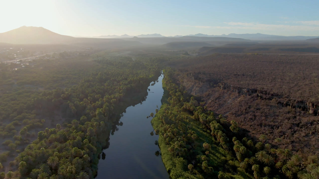 River and tree canopy below a bright sky with desert land beside it