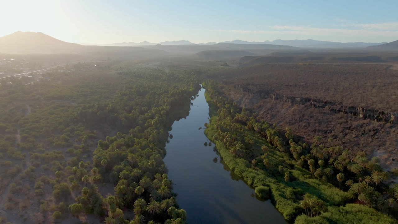 Reflective river cutting through trees with desert flats and mountains beyond