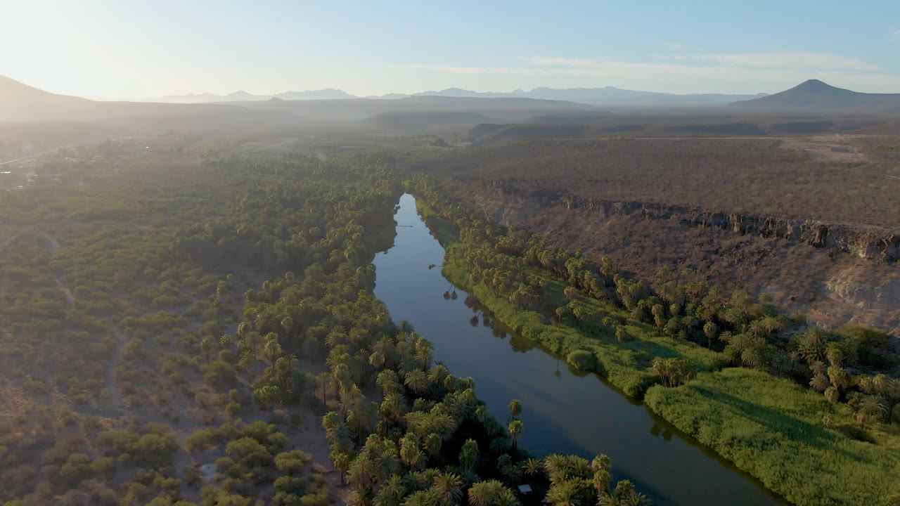 Aerial view in San Ignacio, Baja California Sur, with the river running away from the camera through palms and reeds, a rocky ridge at right, and no visible people.
