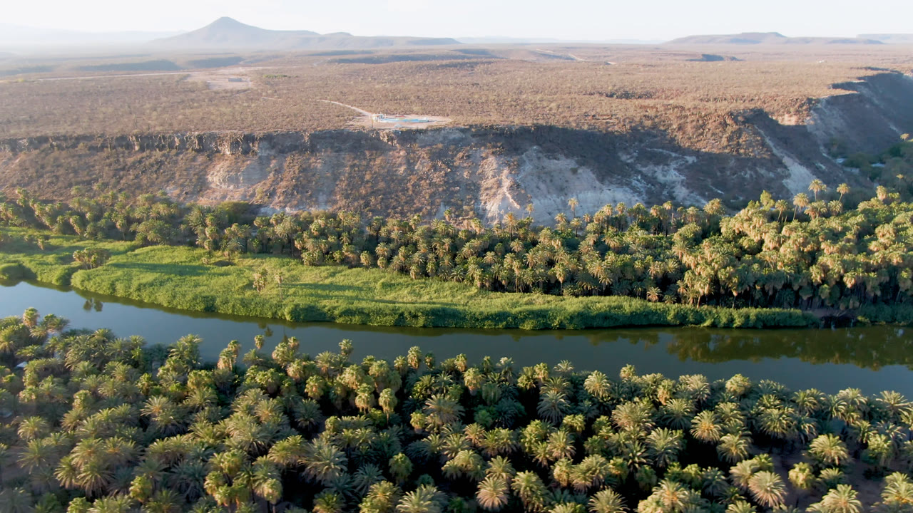 Aerial view of a river beside dense palms and dry bluffs