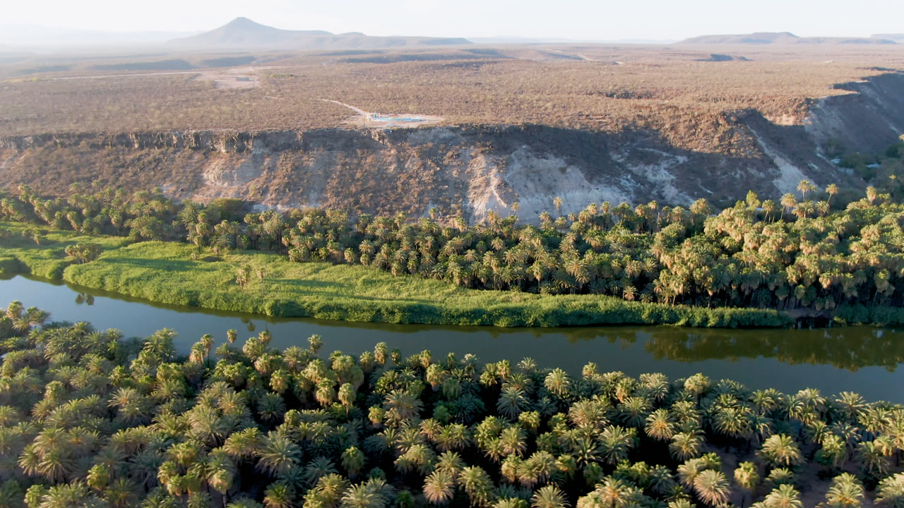 Aerial frame in San Ignacio, Baja California Sur, with the river running horizontally between palm-covered banks and pale desert bluffs, no visible people.