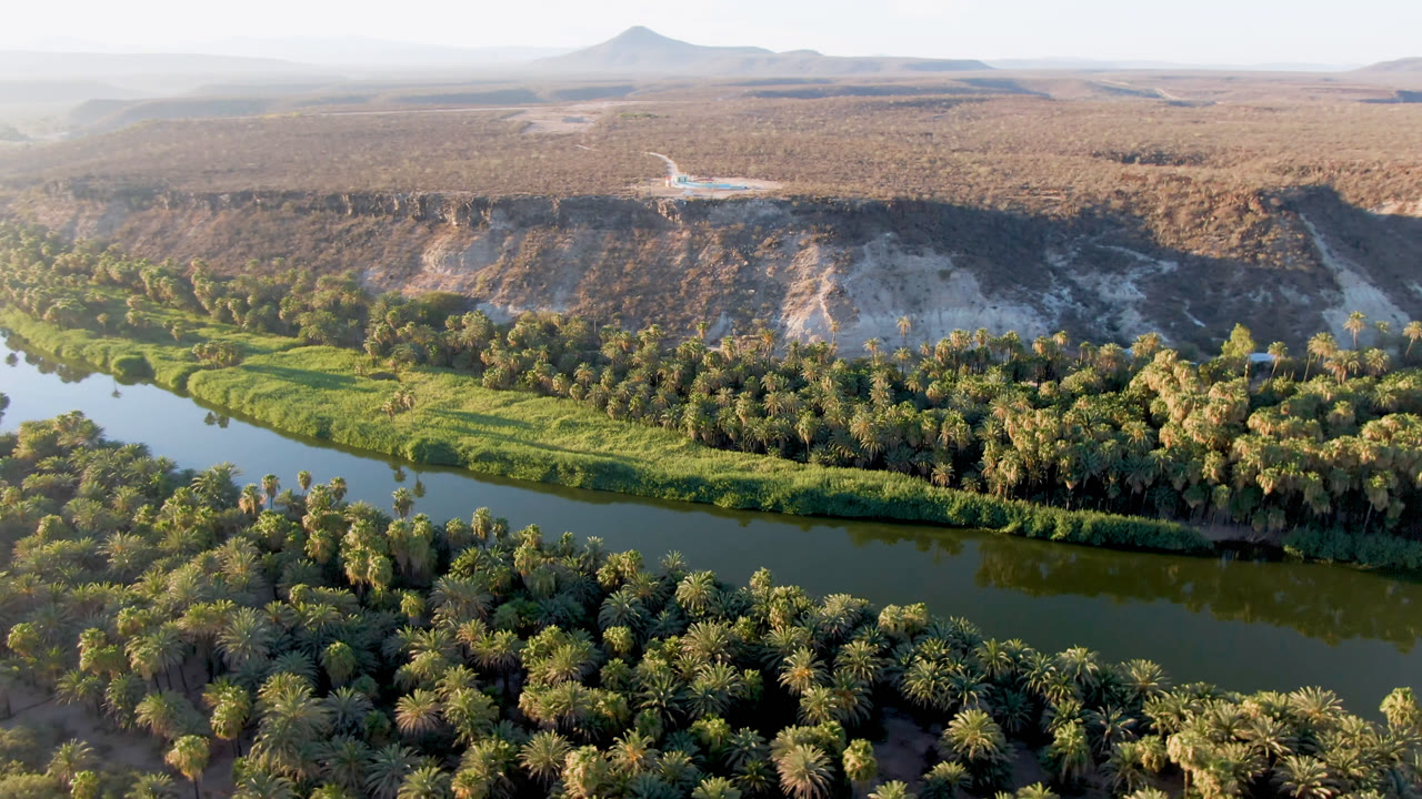 Aerial view over San Ignacio, Baja California Sur, with a green river curving past dense palm trees, pale dry hills, distant mountains, and no visible people.